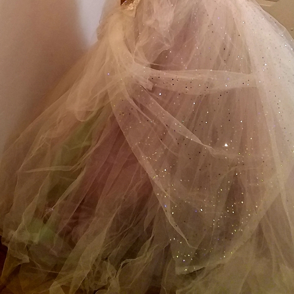 CECILIA Ivory Lace Tulle Wedding Ballgown Set - Picture 13 of 14